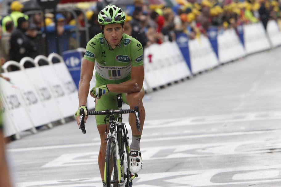 Nel 2014, nel Tour de France vinto da Vincenzo Nibali, conquista nuovamente la maglia della classifica a punti senza vittorie di tappa e con ben quattro secondi posti. Bettini